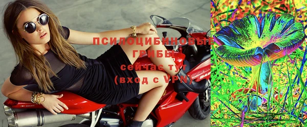 apvp Алексин